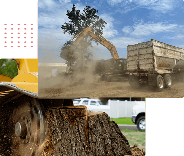 A picture of a bulldozer and a dump truck engaged in tree removal services.