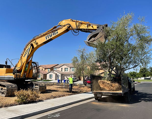 A professional excavator is carefully removing a tree in front of a house.