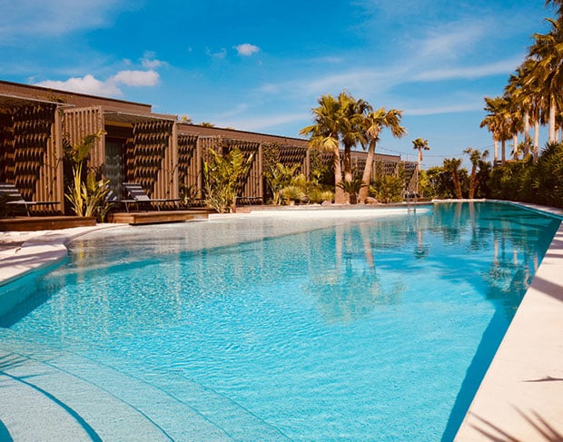 A palm-fringed oasis with a swimming pool.