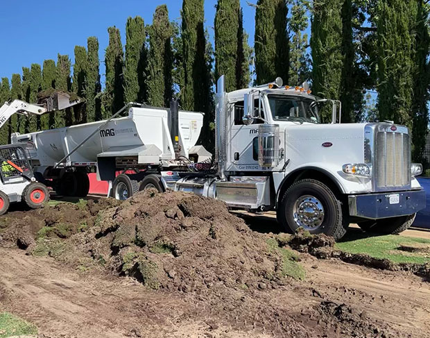 A large truck with a shovel and a bulldozer performing site cleanup next to a tree.